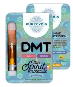 DMT Cartridge 1mL Purecybin