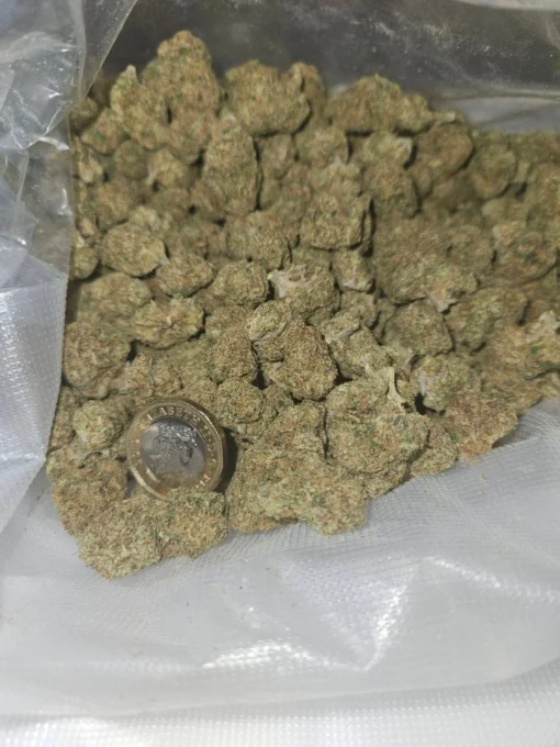 CALI MIDS