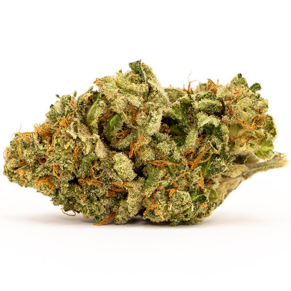 White-Widow-600x600-1