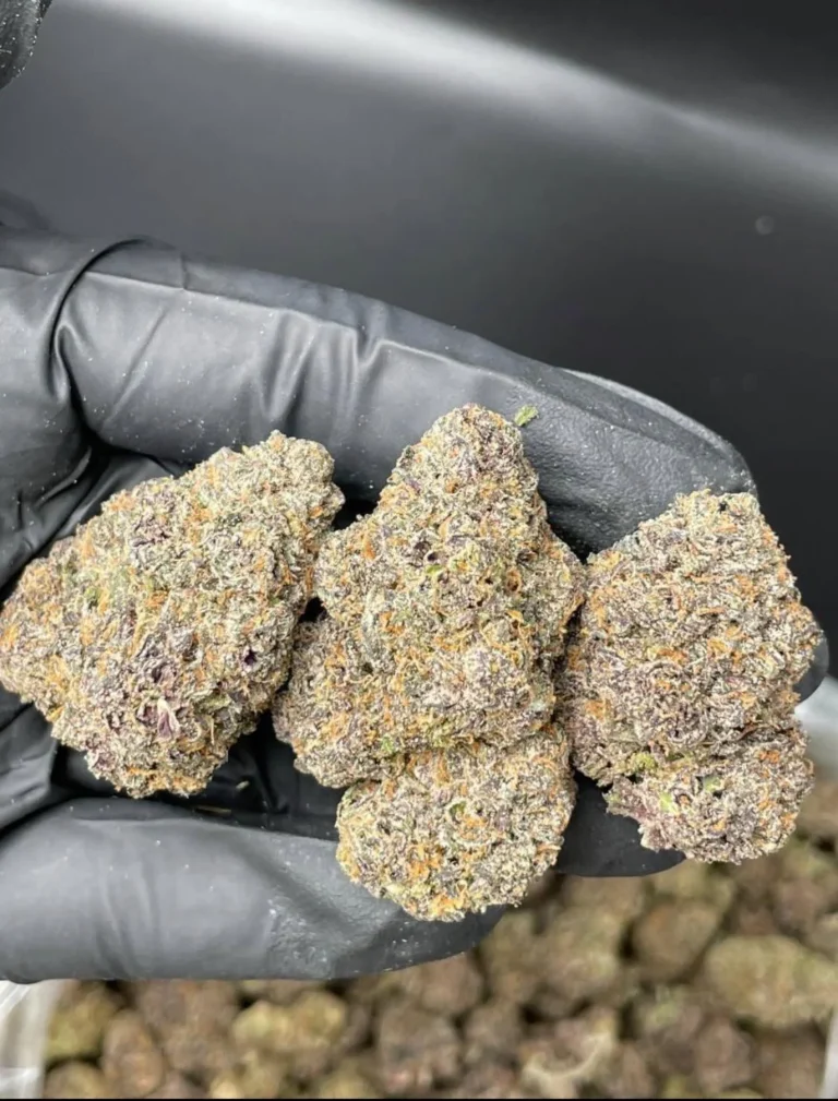 Zaza-weed-strain